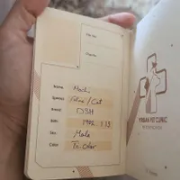 گربه|حیوانات|اهواز, کیانشهر|دیوار