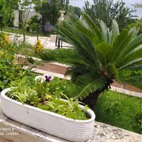اجاره ویلای استخر دار آبگرم شیک کد(۳۰)|اجارهٔ کوتاه‌مدت ویلا و باغ|لاهیجان, انقلاب|دیوار