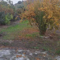 زمین باغی روستای نصرآبادبه متراژ ۱۳۵۶مترمربع|فروش دفتر صنعتی، کشاورزی، تجاری|گرگان, |دیوار