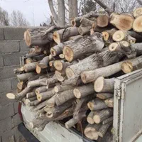 برش و خرید و فروش چوب