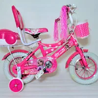 دوچرخه ۱۲/۱۶/۲۰ پشتی سبد اکسین|دوچرخه، اسکیت، اسکوتر|کرج, شاهینویلا|دیوار