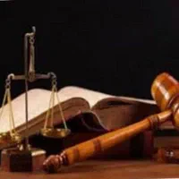 وکیل پایه یک دادگستری و مشاور حقوقی (خانم)