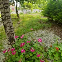 اجاره ی ویلا|اجارهٔ کوتاه‌مدت ویلا و باغ|چالوس, |دیوار