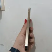 12pro max