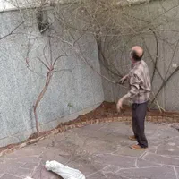 خدمات باغبانی وسمپاشی|خدمات باغبانی و درختکاری|نیشابور, |دیوار