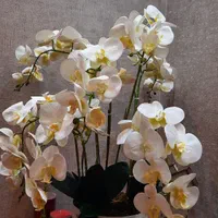گل ارکیده لمسی|گل مصنوعی|تهران, پردیسان|دیوار