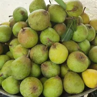 استخدام کارگر حرفه‌ای خوج چین
