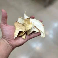 قارچ های درمانی ـشیتاکه ـیال شیر ـگاندرما|خوردنی و آشامیدنی|اصفهان, نقش جهان|دیوار