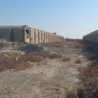 فروش یا اجاره سوله مرغداری|فروش دفتر صنعتی، کشاورزی، تجاری|زابل, |دیوار