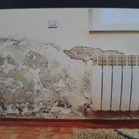 تشخیص رفع نمزدگی نشت یابی بادستگاه چکه رطوبت|خدمات پیشه و مهارت|مشهد, عبادی|دیوار