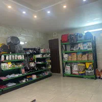 کلینیک و پت شاپ و اصلاح پتیکا