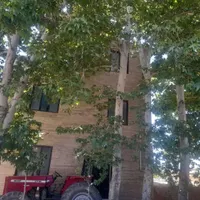 به یک همخونه ساکت و آرام نیازمندیم