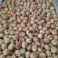 پخش عمده اجیل و خشکبار صدیک|عمده‌فروشی|شیراز, شهرک صنعتی|دیوار