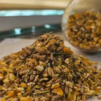 خوراک دان تابستانی