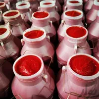 رب گوجه فرنگی قوچان وجوین ضمانتی|عمدهفروشی|مشهد, هنرور|دیوار