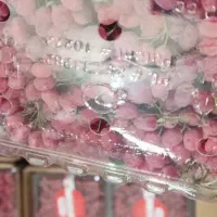خانم منظم جهت دور کاری پاره وقت