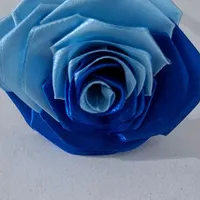 گل رز