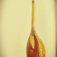 دمبوره هزارگی سالم
