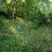 باغ ویلا قدیمی دنج با سند تک برگ.(سینک)