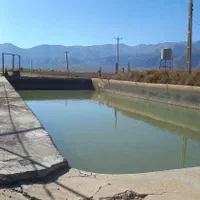 پنج هکتار پسته،زعفرون،زمین کشاورزی سنددار|فروش زمین و ملک کلنگی|شیراز, کفترک|دیوار