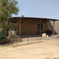 فروش ۲۴ هکتار زمین ابی در ملاثانی روستای صلیعه|فروش دفتر صنعتی، کشاورزی، تجاری|اهواز, زرگان|دیوار