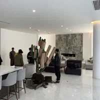 مشاوره نگهداری و درمان گل و گیاه آپارتمانی|گل و گیاه طبیعی|تهران, ونک|دیوار