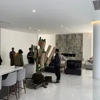 مشاوره نگهداری و درمان گل و گیاه آپارتمانی|گل و گیاه طبیعی|تهران, ونک|دیوار
