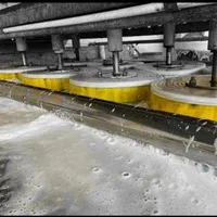 قالیشویی تابان شستشوی ضمانتی|خدمات نظافت|زاهدان, |دیوار