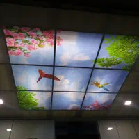 اجرای انواع سقف کاذب در تمام نقاط استان|خدمات پیشه و مهارت|یاسوج, |دیوار