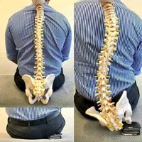کار درمانی رگ گیری و کمردرد سیاتیک و اسپاسم
