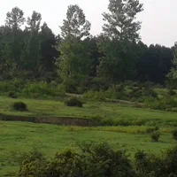 زمین ۳۰۰ متر سند دار . سیاهکل.  سنگر . خرارود|فروش زمین و ملک کلنگی|رشت, آب آسیاب|دیوار