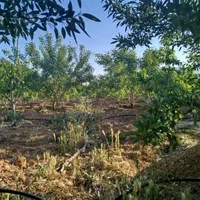 فروش زمین ۵۱۰ متری محدود پل زمانخان