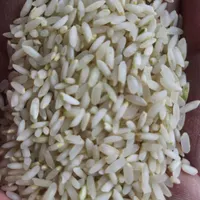 فروش عمده برنج کامفیروز|خوردنی و آشامیدنی|اصفهان, پزوه|دیوار
