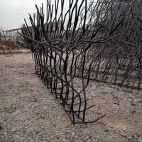 حفاظ شاخ گوزنی|مصالح و تجهیزات ساختمان|ری, صالح‌آباد شرقی|دیوار