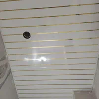 اجرای انواع سقف کاذب در تمام نقاط استان|خدمات پیشه و مهارت|یاسوج, |دیوار