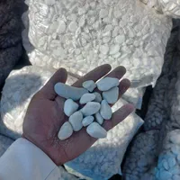 قلوه سنگ آناناسی مناسب تزئینات|عمدهفروشی|تهران, فلسطین (میدان انقلاب)|دیوار