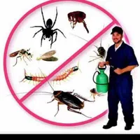 خدمات سم پاشی منزل|خدمات نظافت|صدرا-فارس, |دیوار