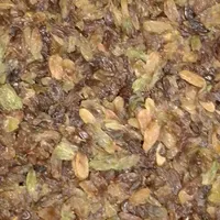 کشمش خراسان|خوردنی و آشامیدنی|رشت, پاستوریزه|دیوار