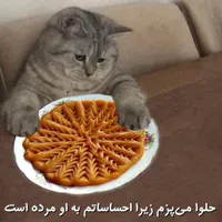واگذاری گربه