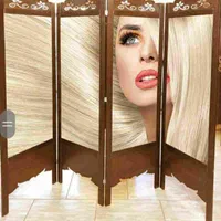 پاراوان پارتیشن آرایشگاهی|صنایع دستی و سایر لوازم تزئینی|تهران, شهرک ولیعصر جنوبی|دیوار