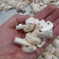 دستگاه میوه خشک کن.فریزدرایر.اسپری درایر.بستنی|ماشین‌آلات صنعتی|تهران, صادقیه|دیوار