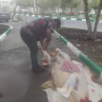 قصاب سیار بره گوساله
