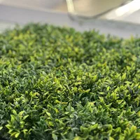 دیوار سبز گل دیواری گرین وال|گل مصنوعی|ارومیه, |دیوار