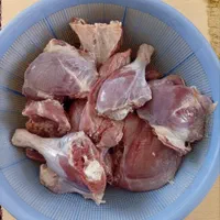 گوشت بوقلمون خانگی و تخم بوقلمون
