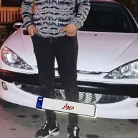 206sd|خودرو سواری و وانت|همدان, |دیوار
