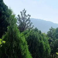 اجاره ویلا نوساز ۲ خوابه رامسر حیاط دار|اجارهٔ کوتاهمدت ویلا و باغ|رامسر, |دیوار