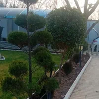 باغبانی سم پاشی وعلف زنی وهرس زینتی