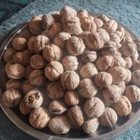 خرید و فروش  خشکبار|خوردنی و آشامیدنی|تهران, مسعودیه|دیوار