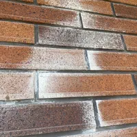 ضدشوره کردن اجر نما