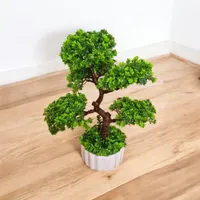 بنسای با گلدان سفال گیفت آبنما گیاه آکواریوم